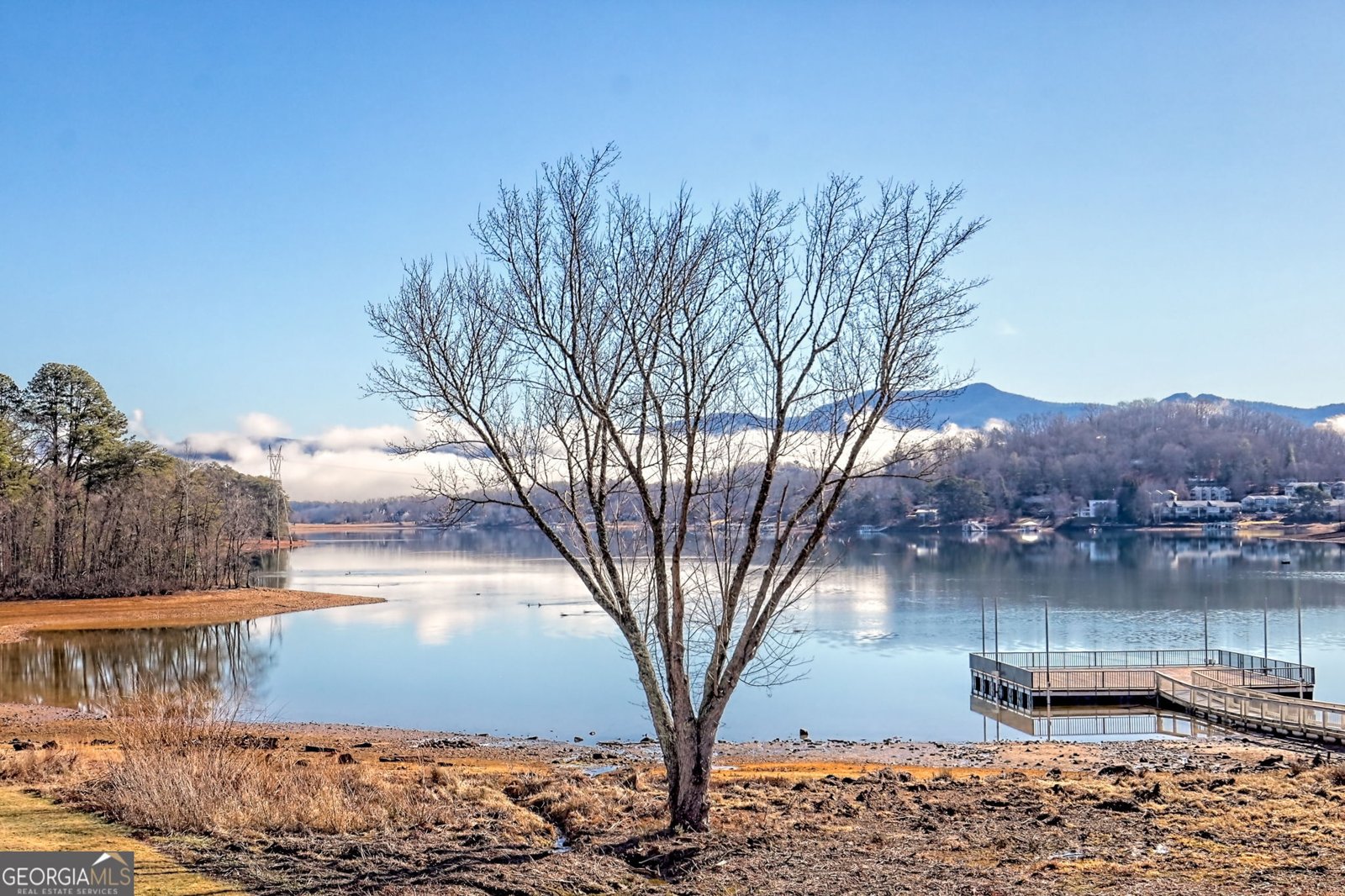 1688 Lakeview Drive Young Harris - Photo 48