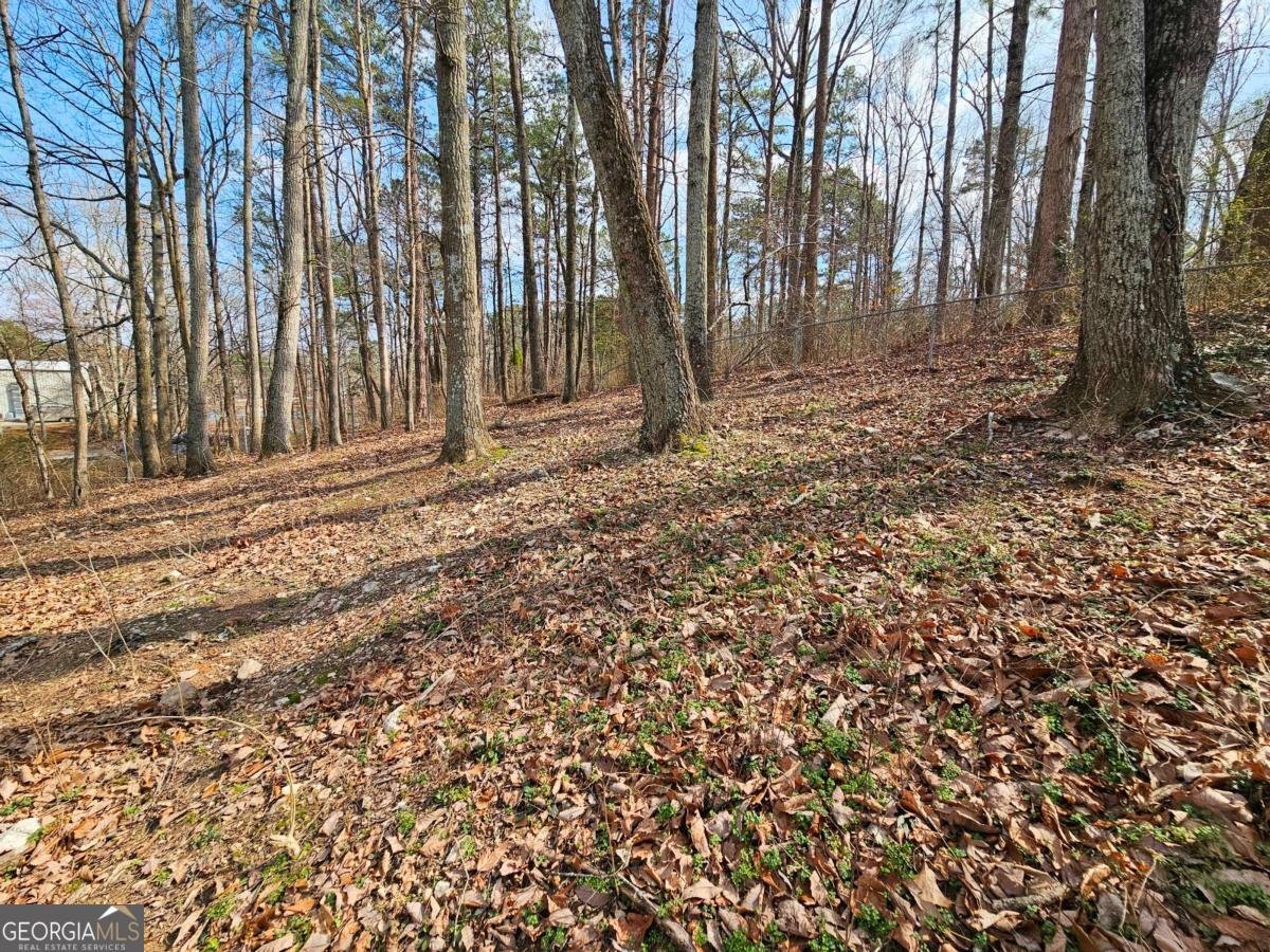 3622 Melissa Lane Douglasville - Photo 35