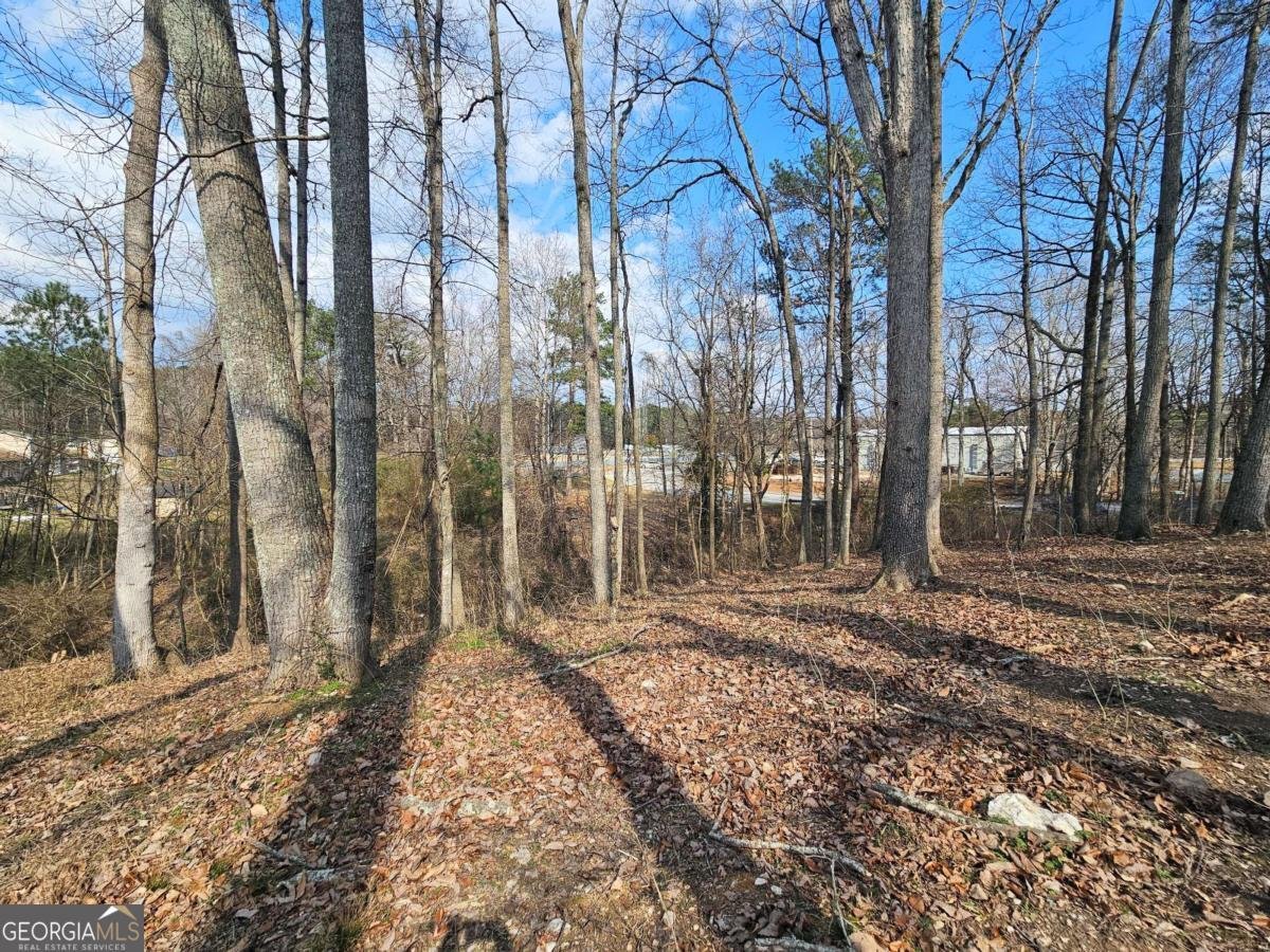 3622 Melissa Lane Douglasville - Photo 36