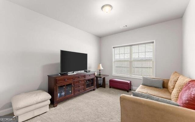 6619 Blue Cove Drive Flowery Branch - Photo 21