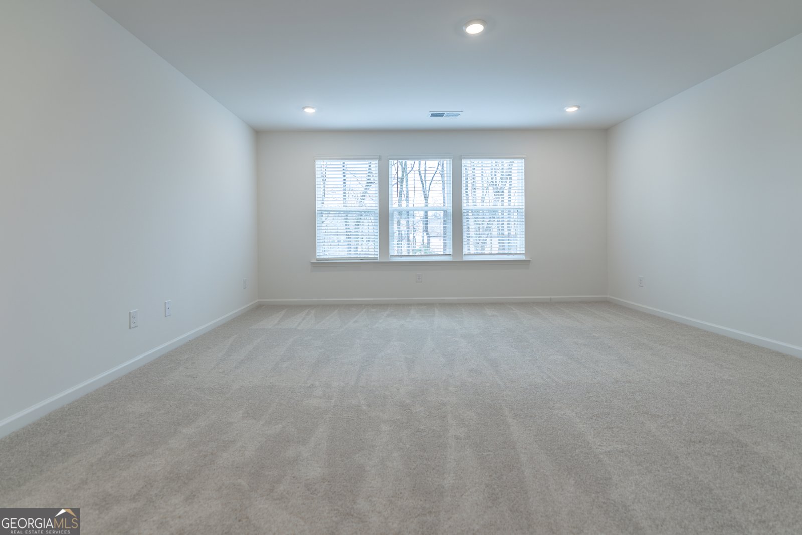 2928 Alliteration Avenue Buford - Photo 13