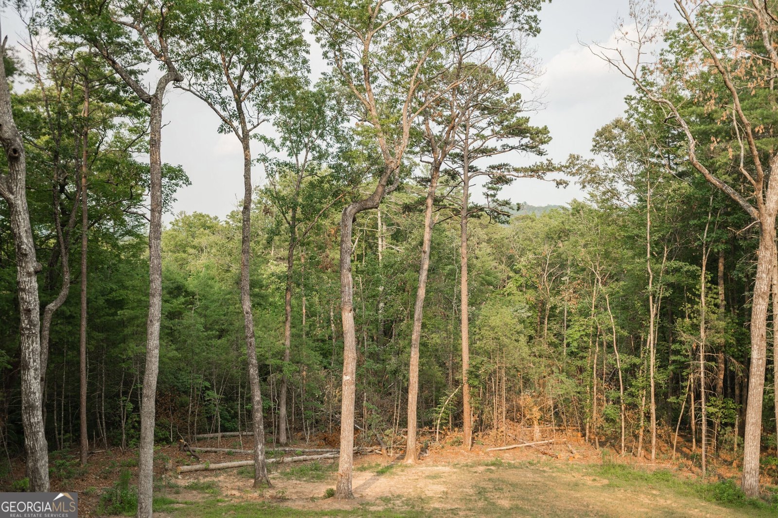 80 Harrison And Ada Road Blue Ridge - Photo 58