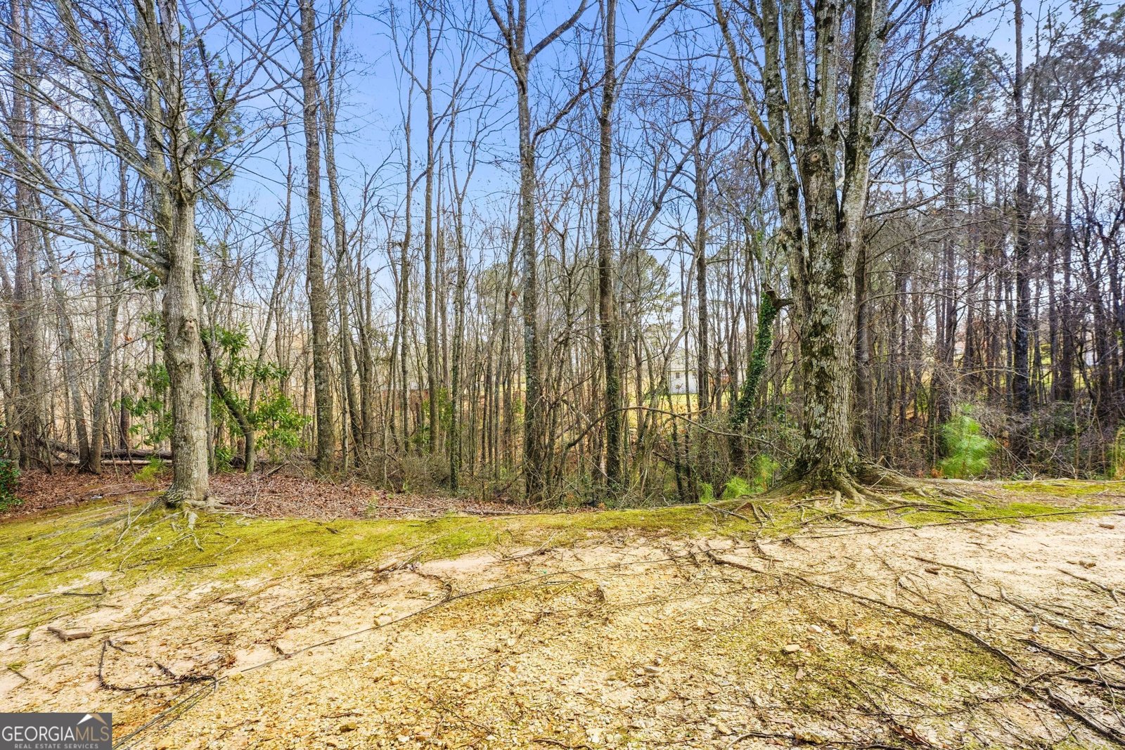 6579 Arbor Gate Drive Mableton - Photo 31