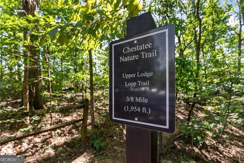 184 Scarlet Oak Lane Dawsonville - Photo 81