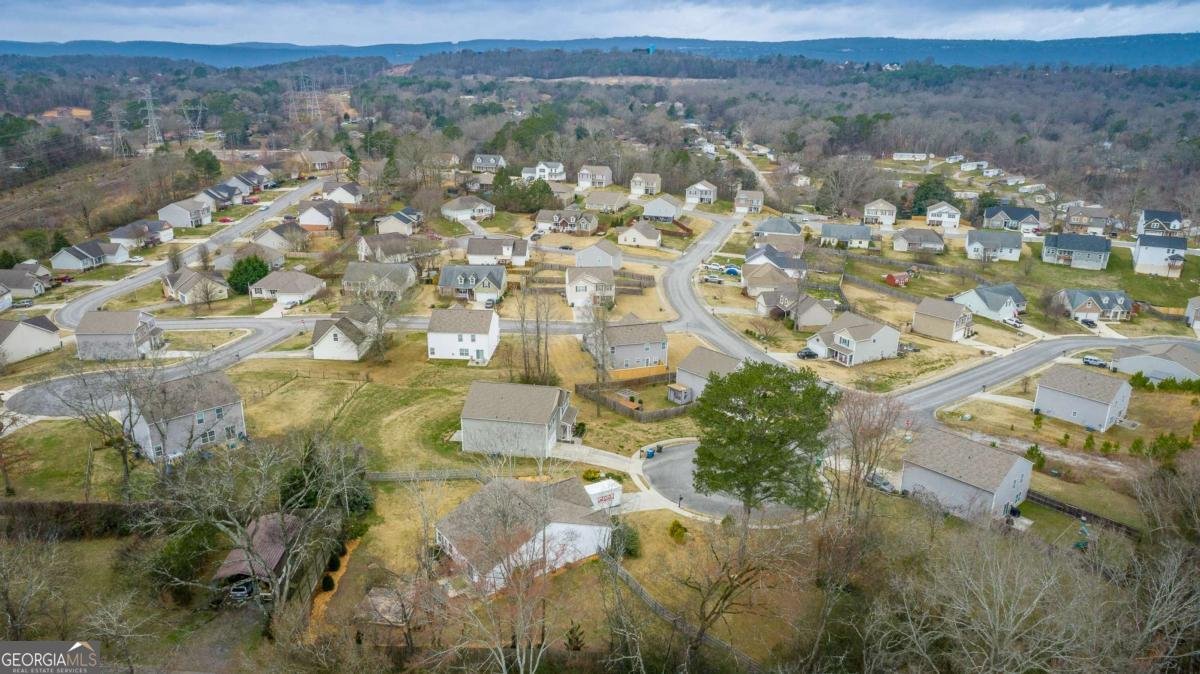 39 Dragoon Court Rossville - Photo 59