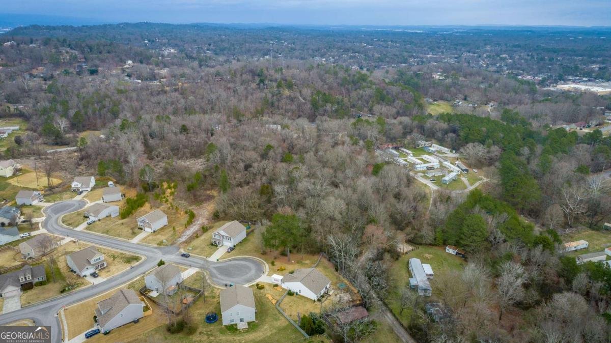 39 Dragoon Court Rossville - Photo 61