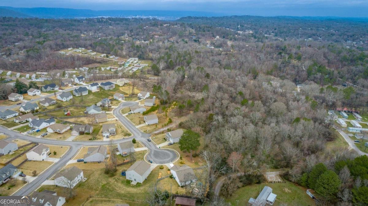 39 Dragoon Court Rossville - Photo 62