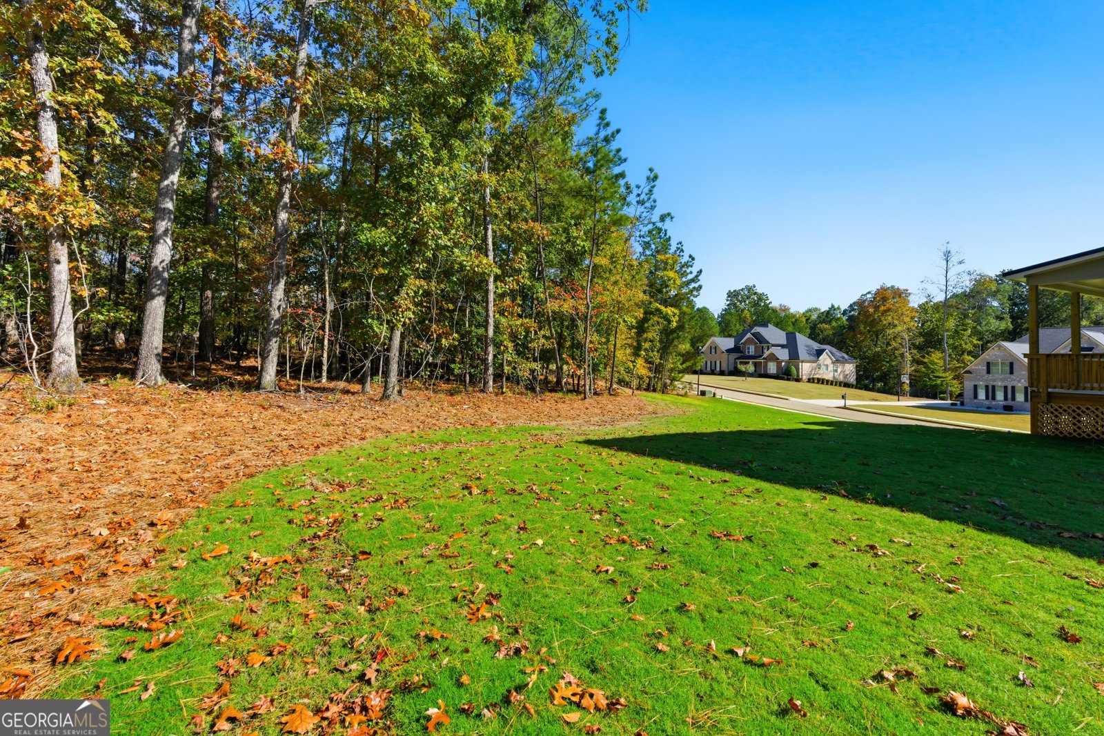 7782 Capps Ridge Lane Douglasville - Photo 48