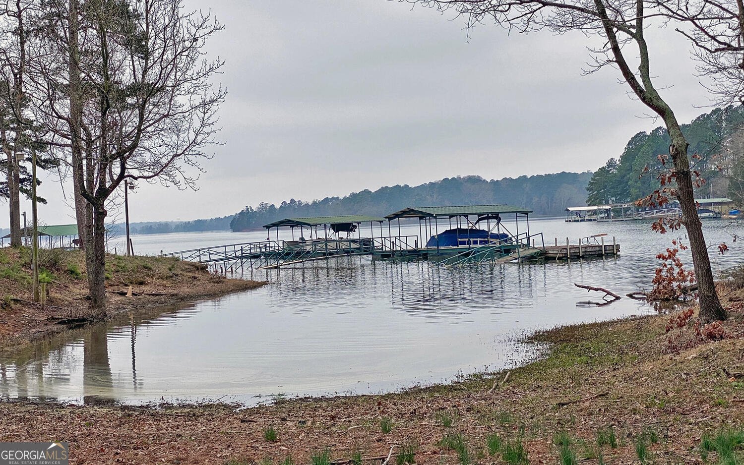 117 Woods Lane Hartwell - Photo 66