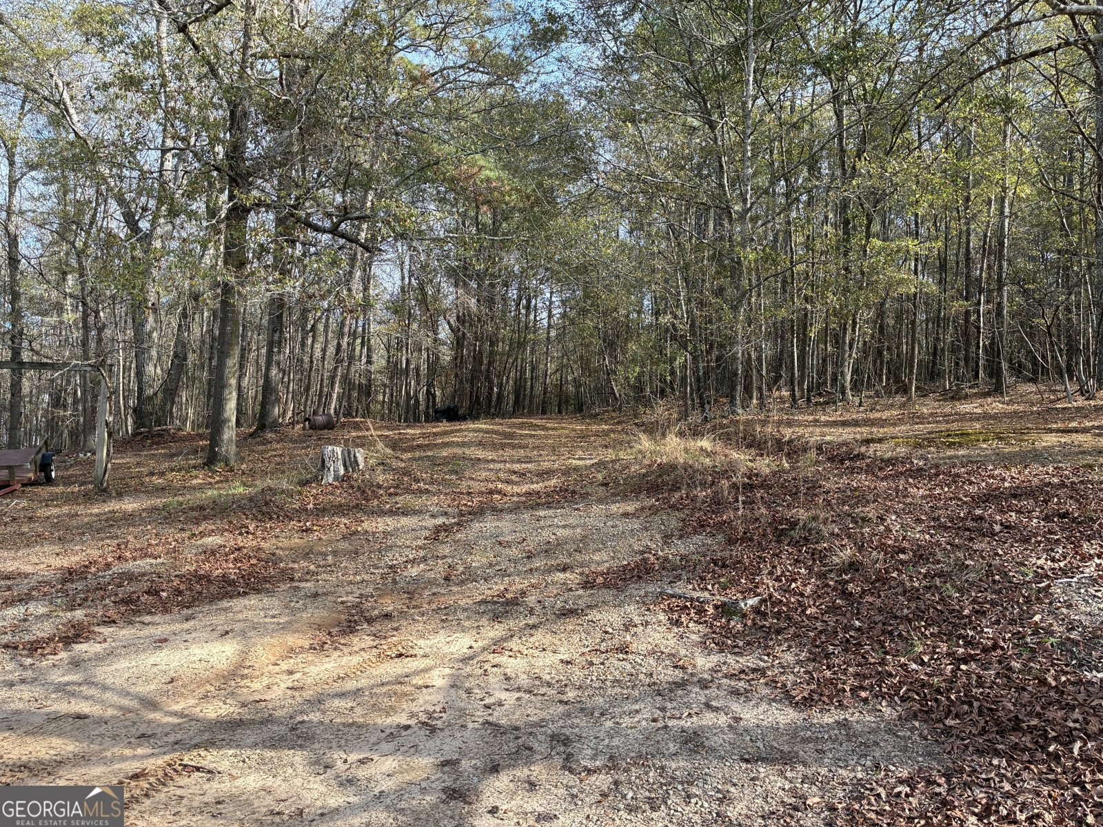 126 Kinsey Drive Stockbridge - Photo 52