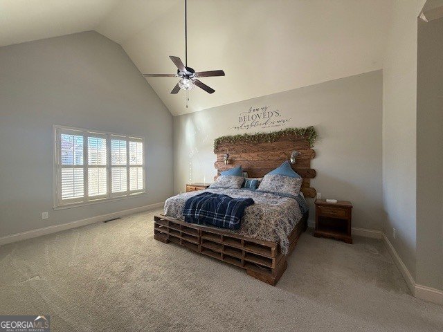 607 Black Hawk Lane Canton - Photo 19