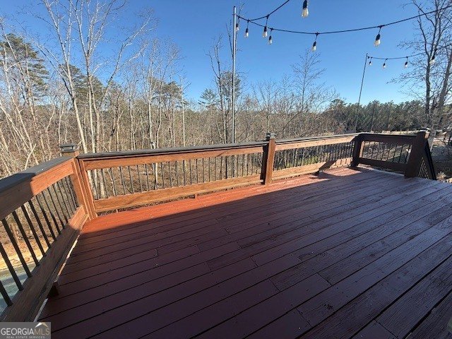 607 Black Hawk Lane Canton - Photo 59