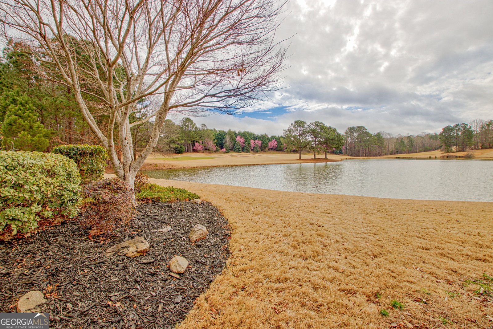 443 Beacon Court Griffin - Photo 34