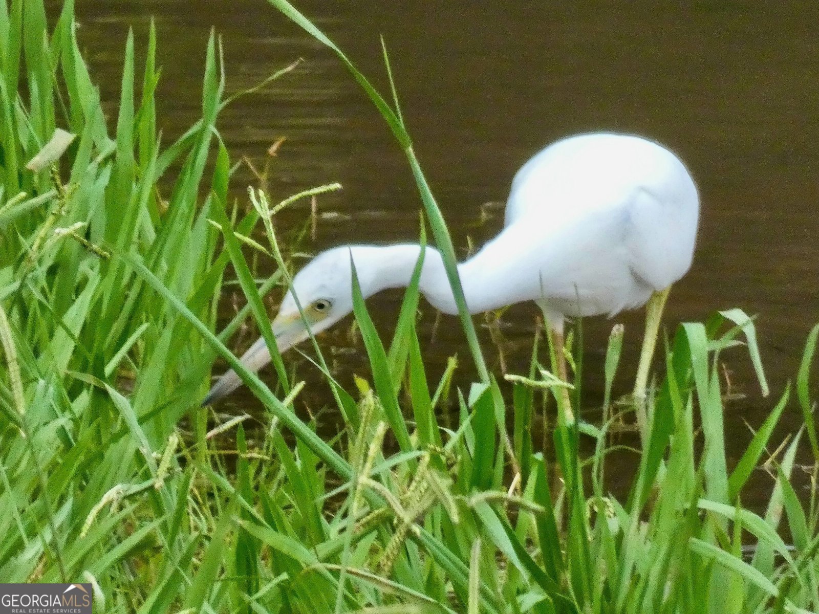 443 Beacon Court Griffin - Photo 45