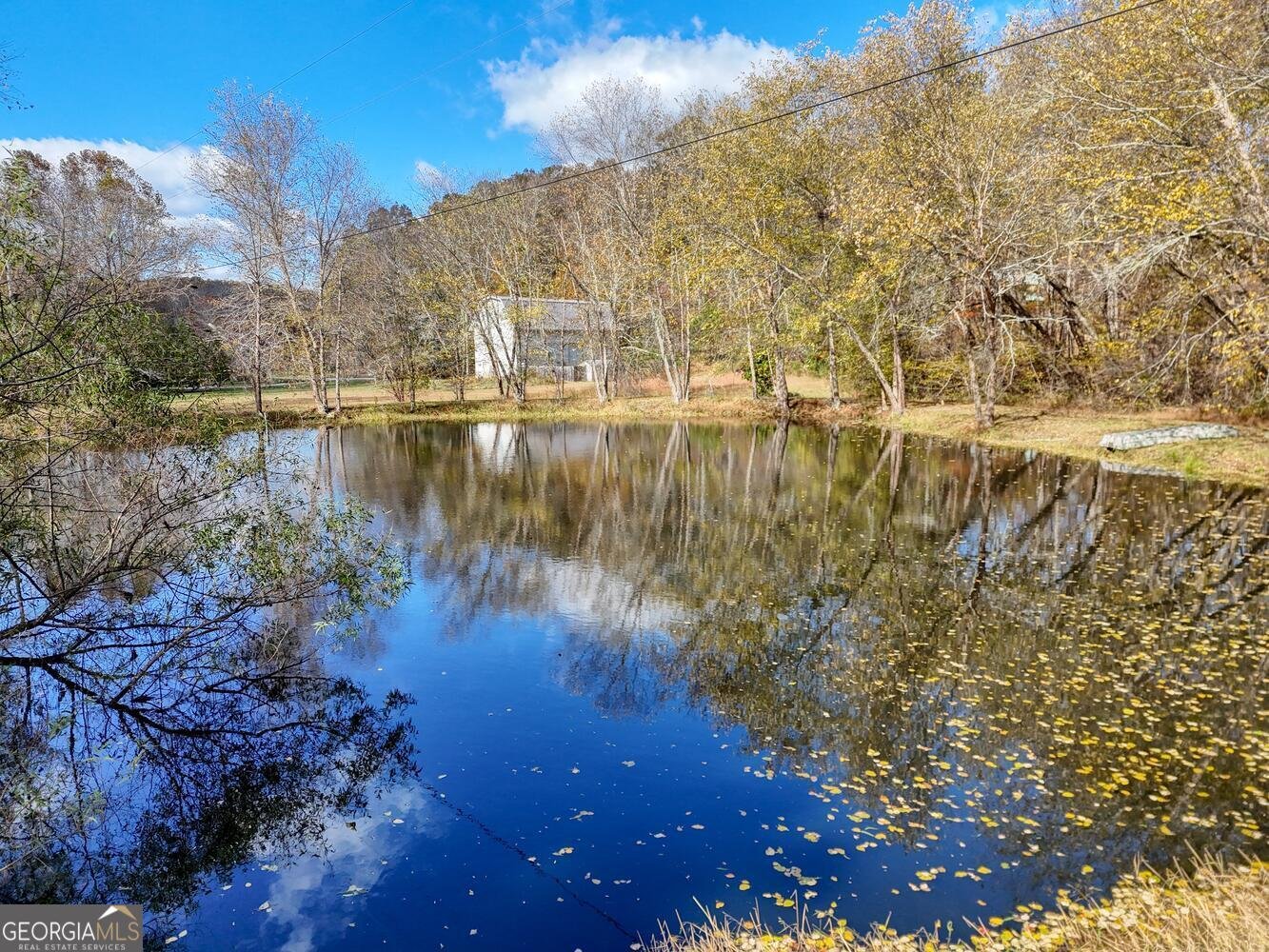 102 Maple Lane Blairsville - Photo 44