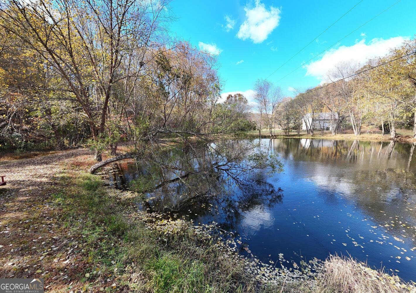 102 Maple Lane Blairsville - Photo 45