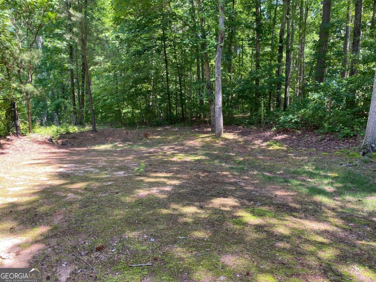 3692 archgate Court Alpharetta - Photo 55