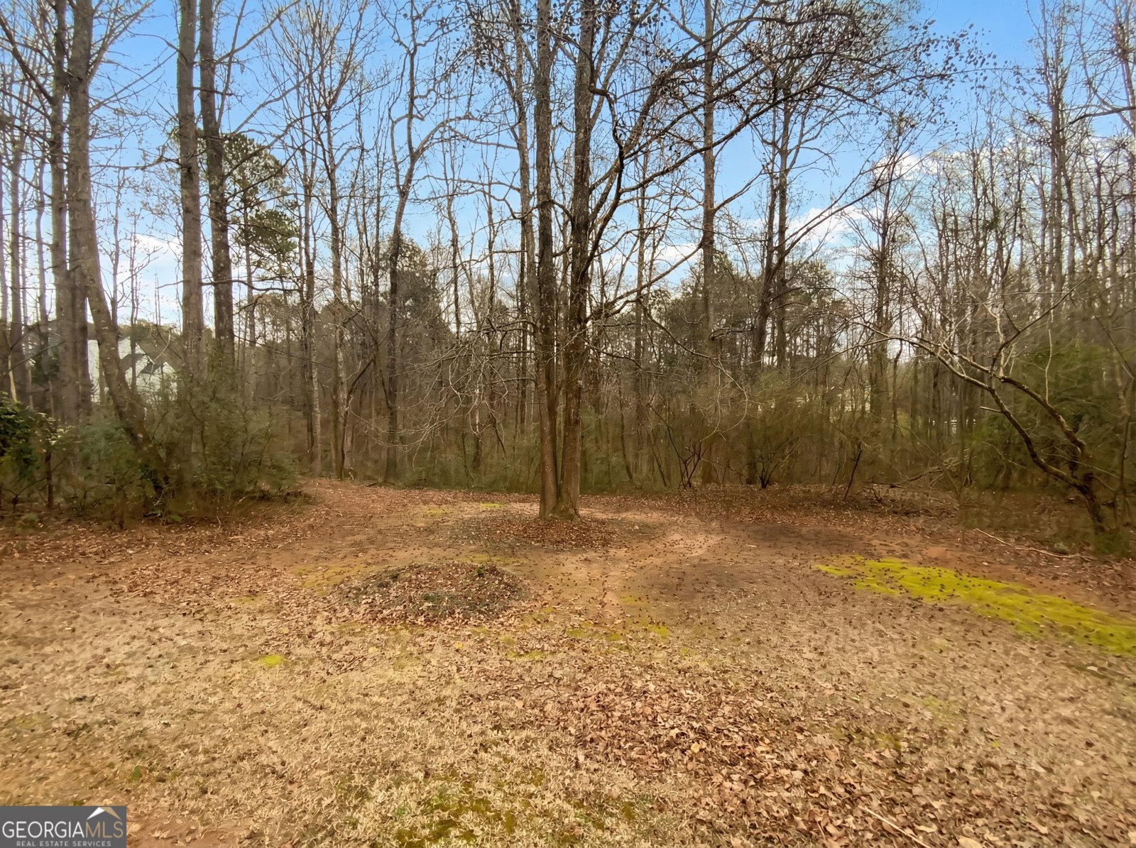 7030 Wessex Way Cumming - Photo 6