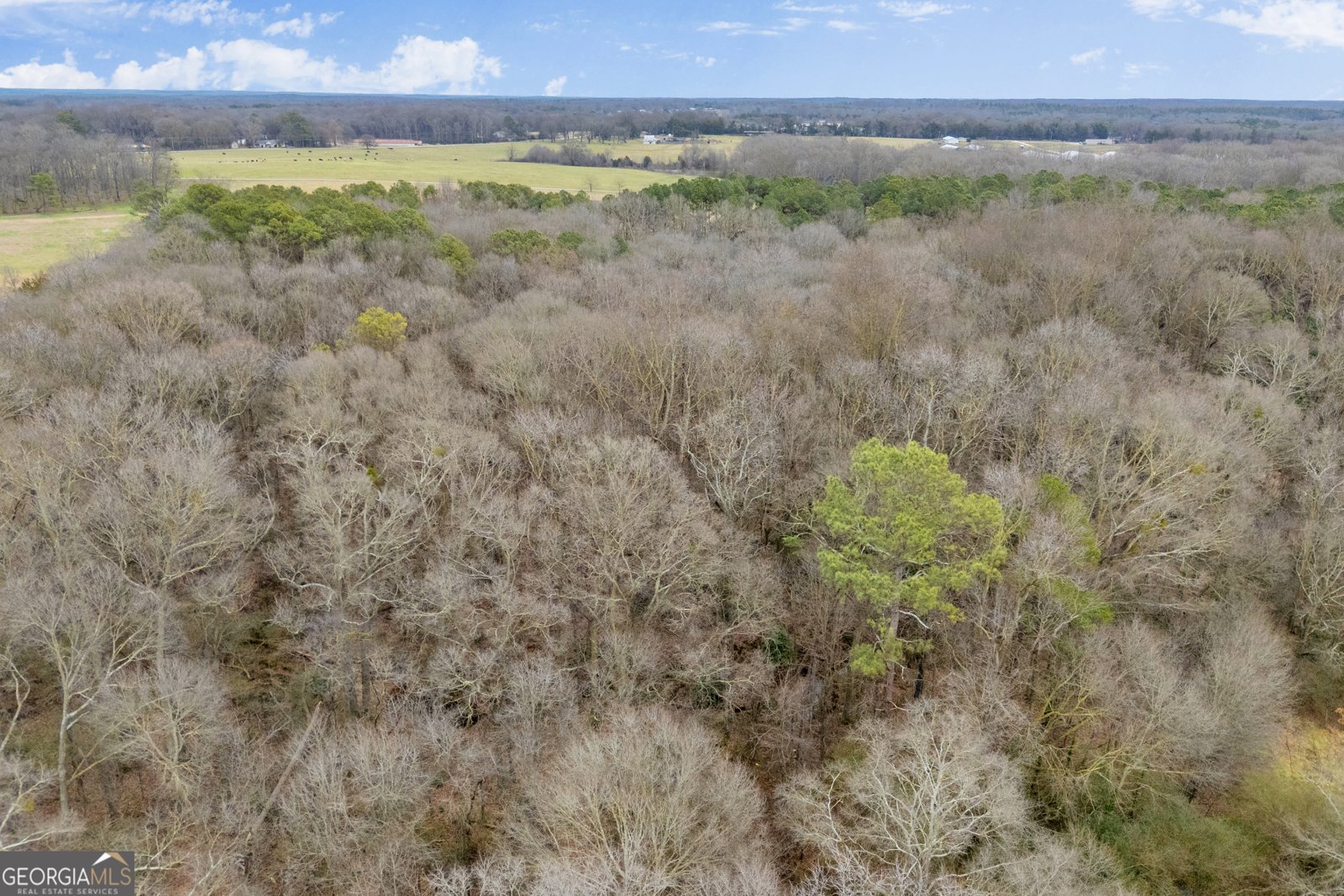 4957 Elberton Highway Hartwell - Photo 25