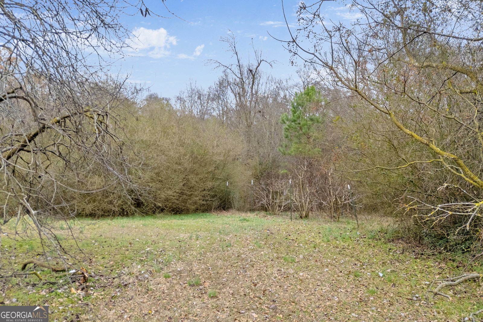 4957 Elberton Highway Hartwell - Photo 6