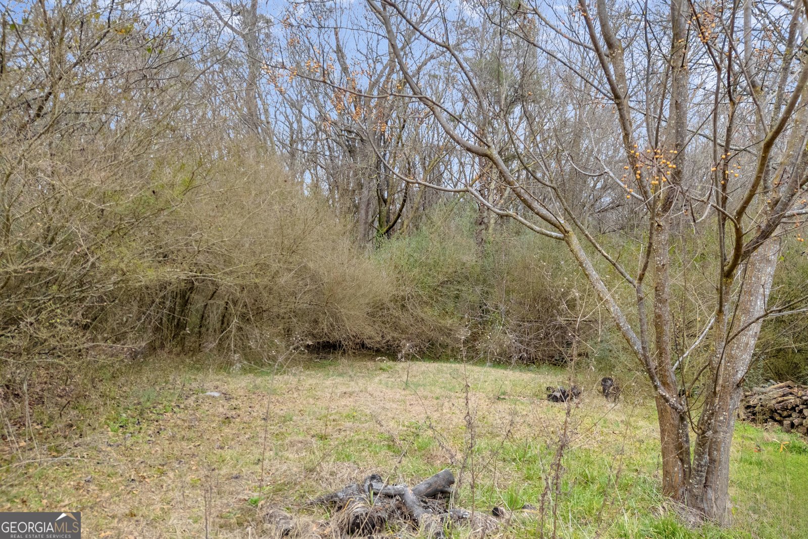 4957 Elberton Highway Hartwell - Photo 7