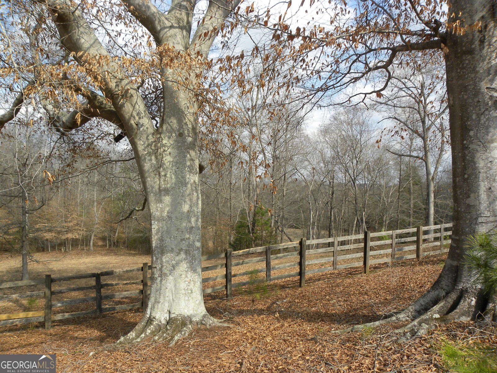 551 P. S. Road Toccoa - Photo 108