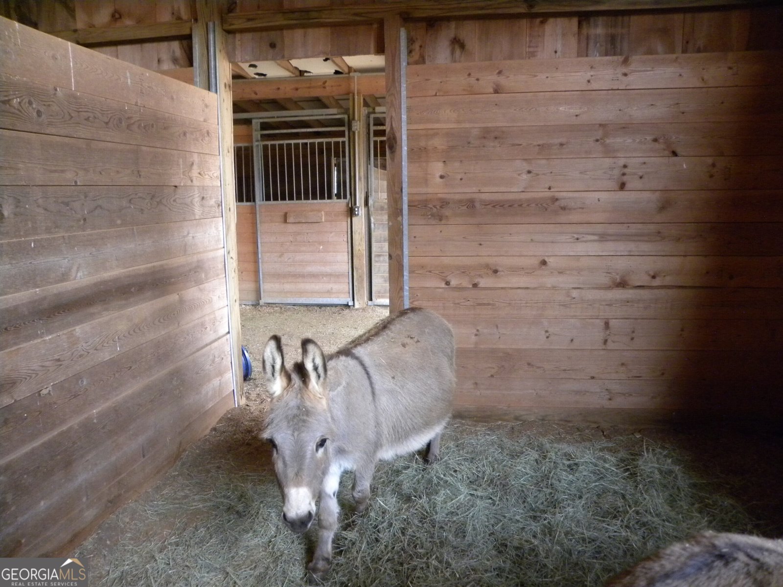 551 P. S. Road Toccoa - Photo 78