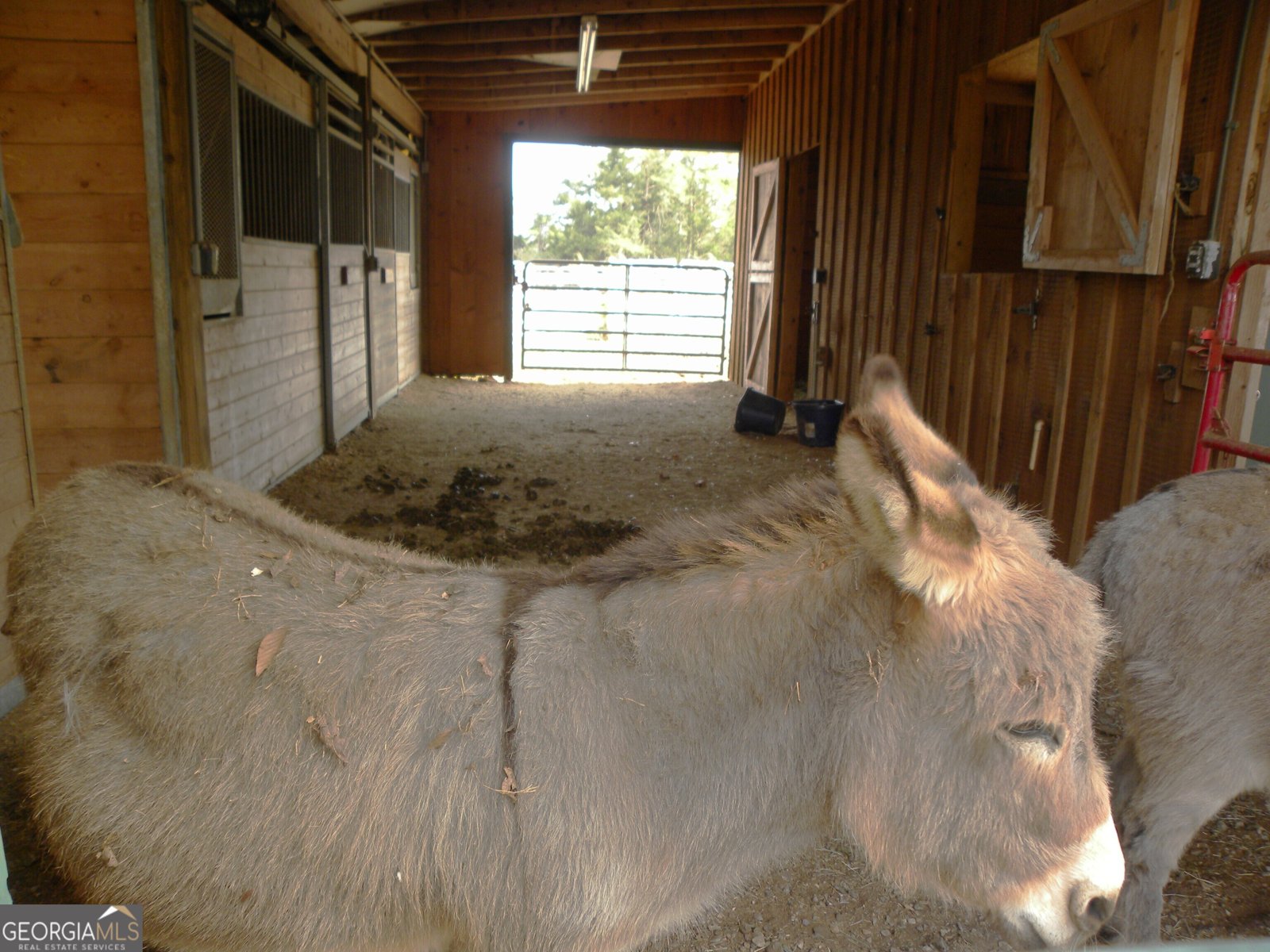 551 P. S. Road Toccoa - Photo 81