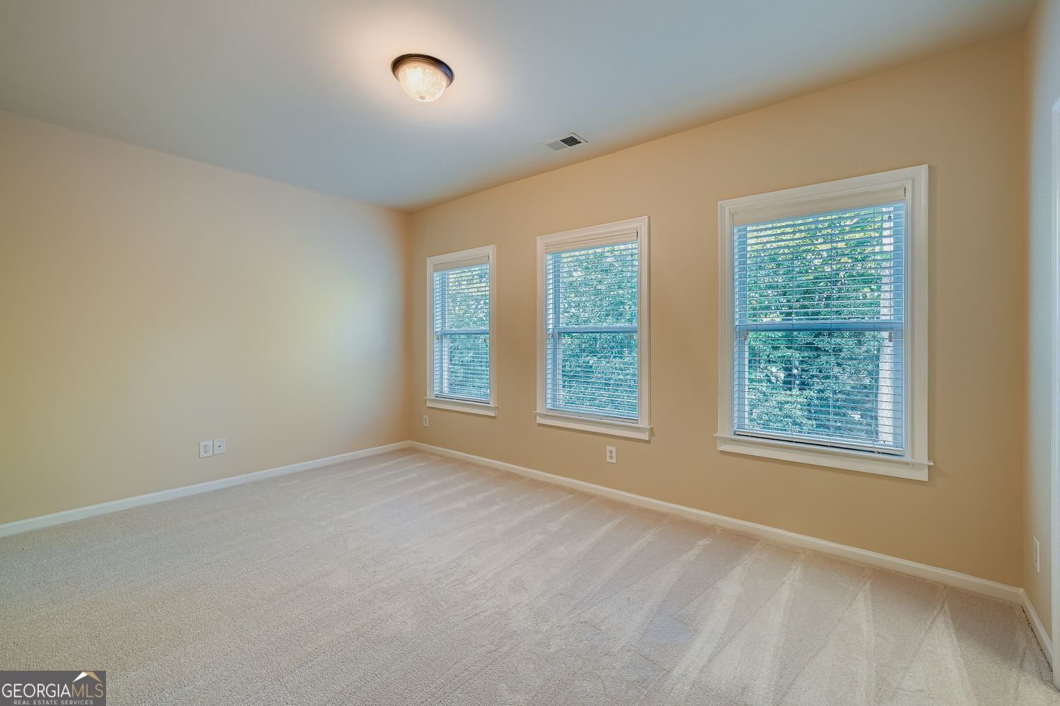 10421 Park Walk Point Johns Creek - Photo 21
