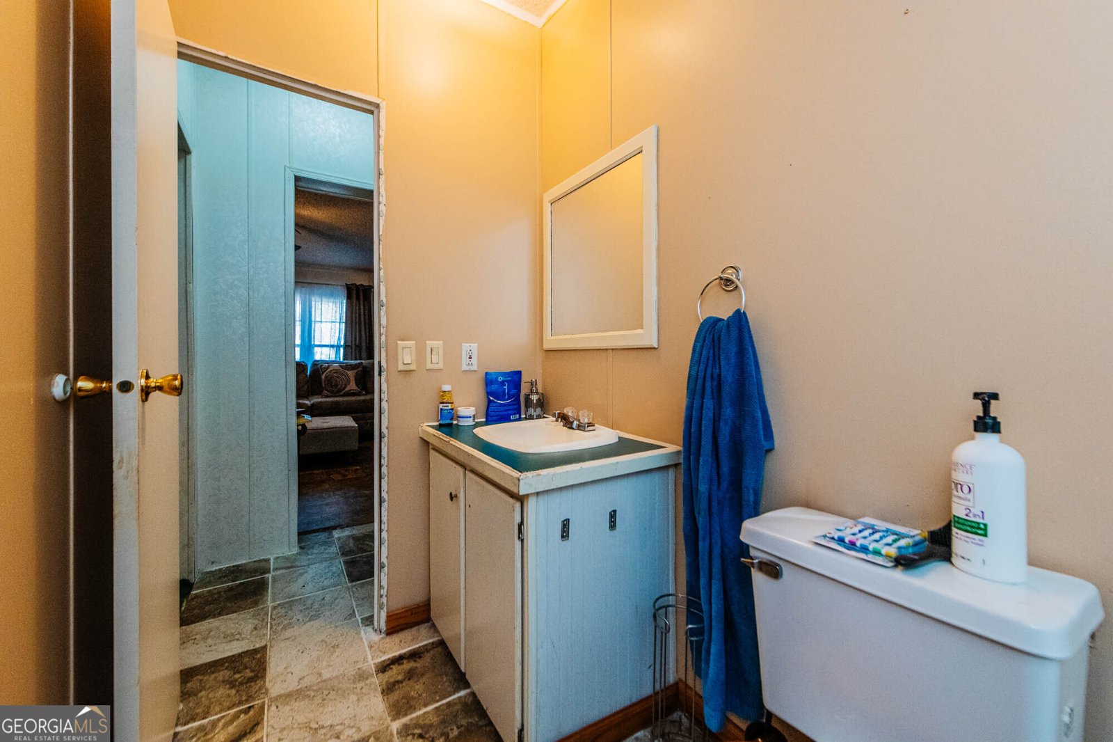 230 Piney Grove Road Kathleen - Photo 21