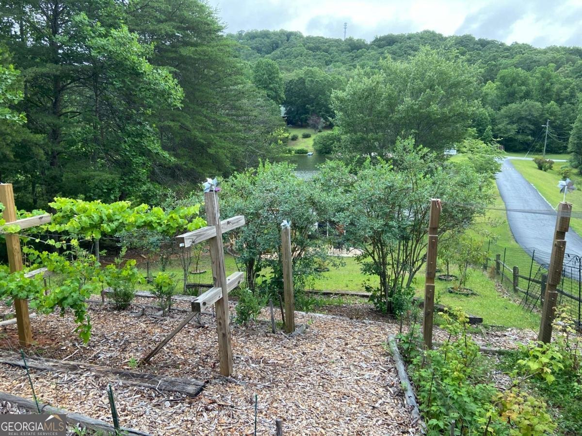 142 Quail Trail Clarkesville - Photo 65