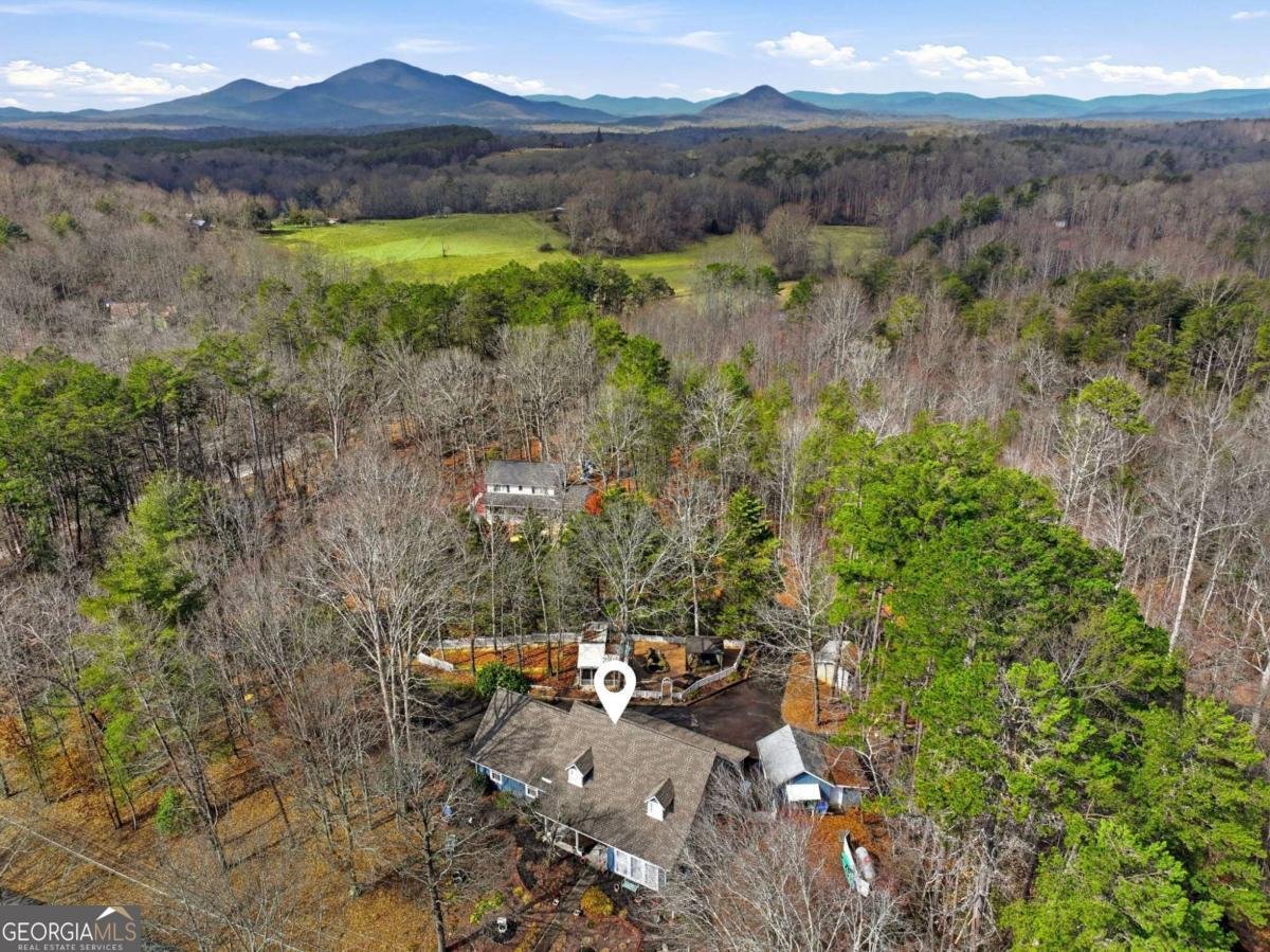 142 Quail Trail Clarkesville - Photo 68