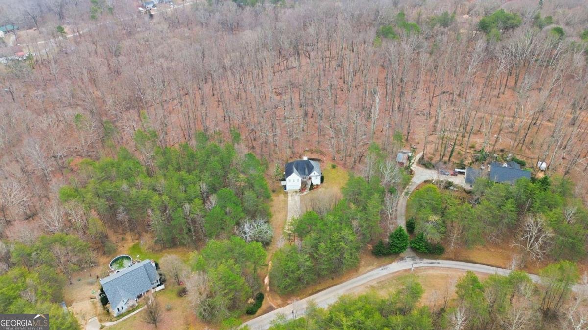 158 Ridge Lane Lula - Photo 7