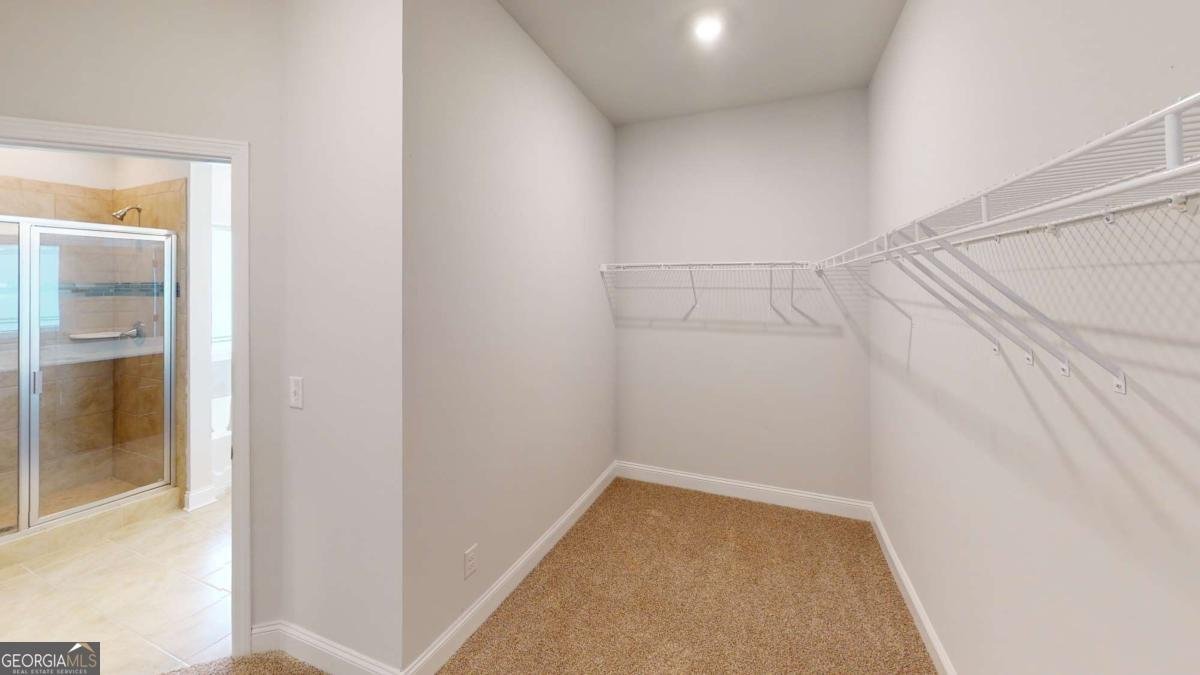 0 Wisteria Lane Williamson - Photo 24