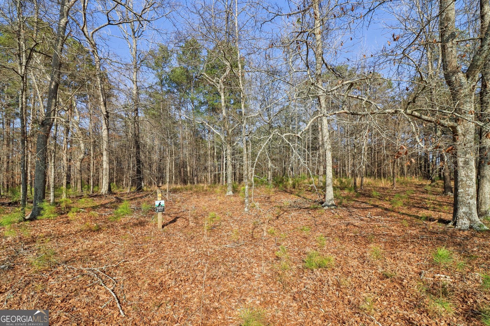 3180 Spring Lake Drive Conyers - Photo 46