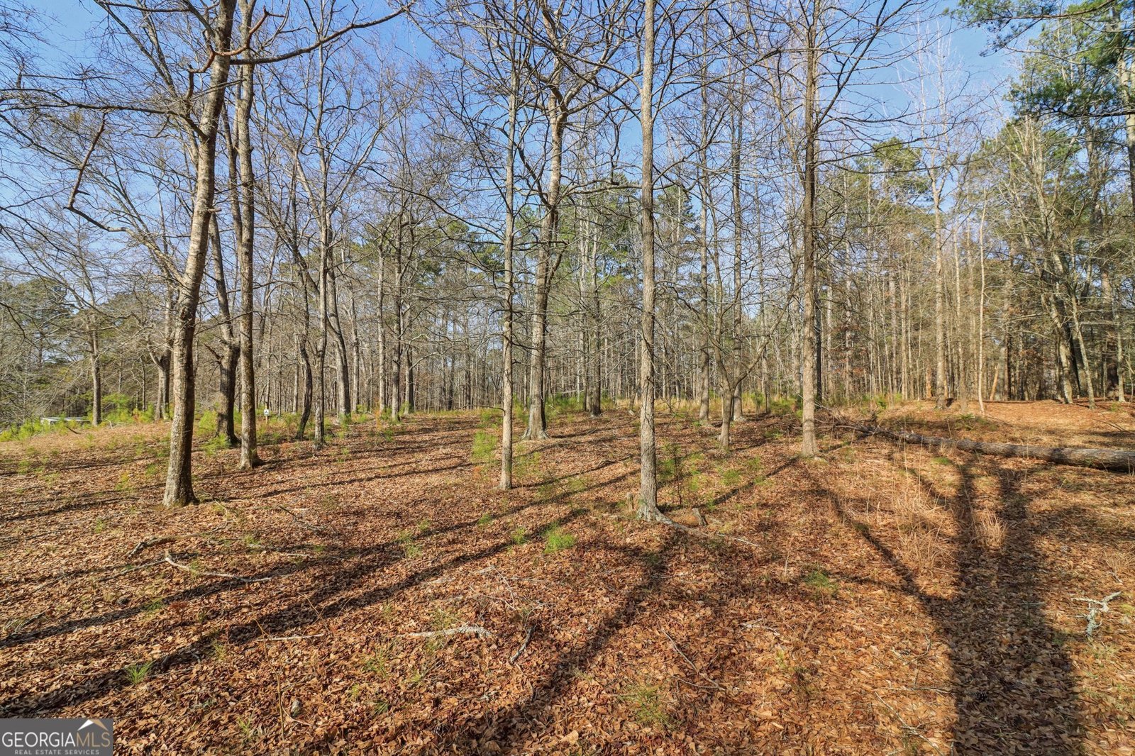 3180 Spring Lake Drive Conyers - Photo 47