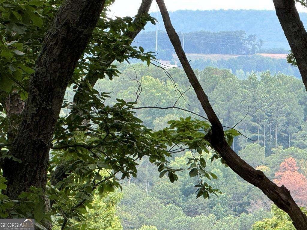 2595 Highland Pointe Drive Cumming - Photo 32