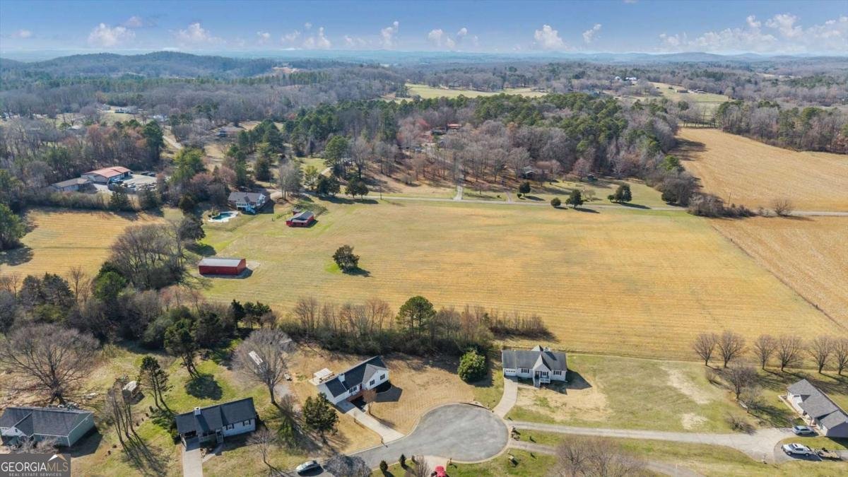 25 Twin Branches Ln,Sw Cartersville - Photo 23