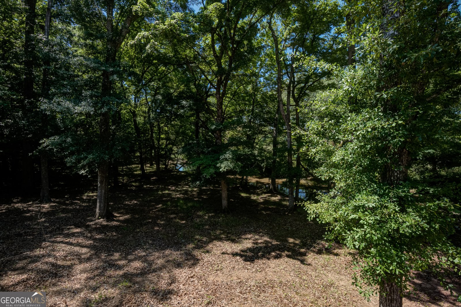 265 Broadmoor Drive Fayetteville - Photo 96