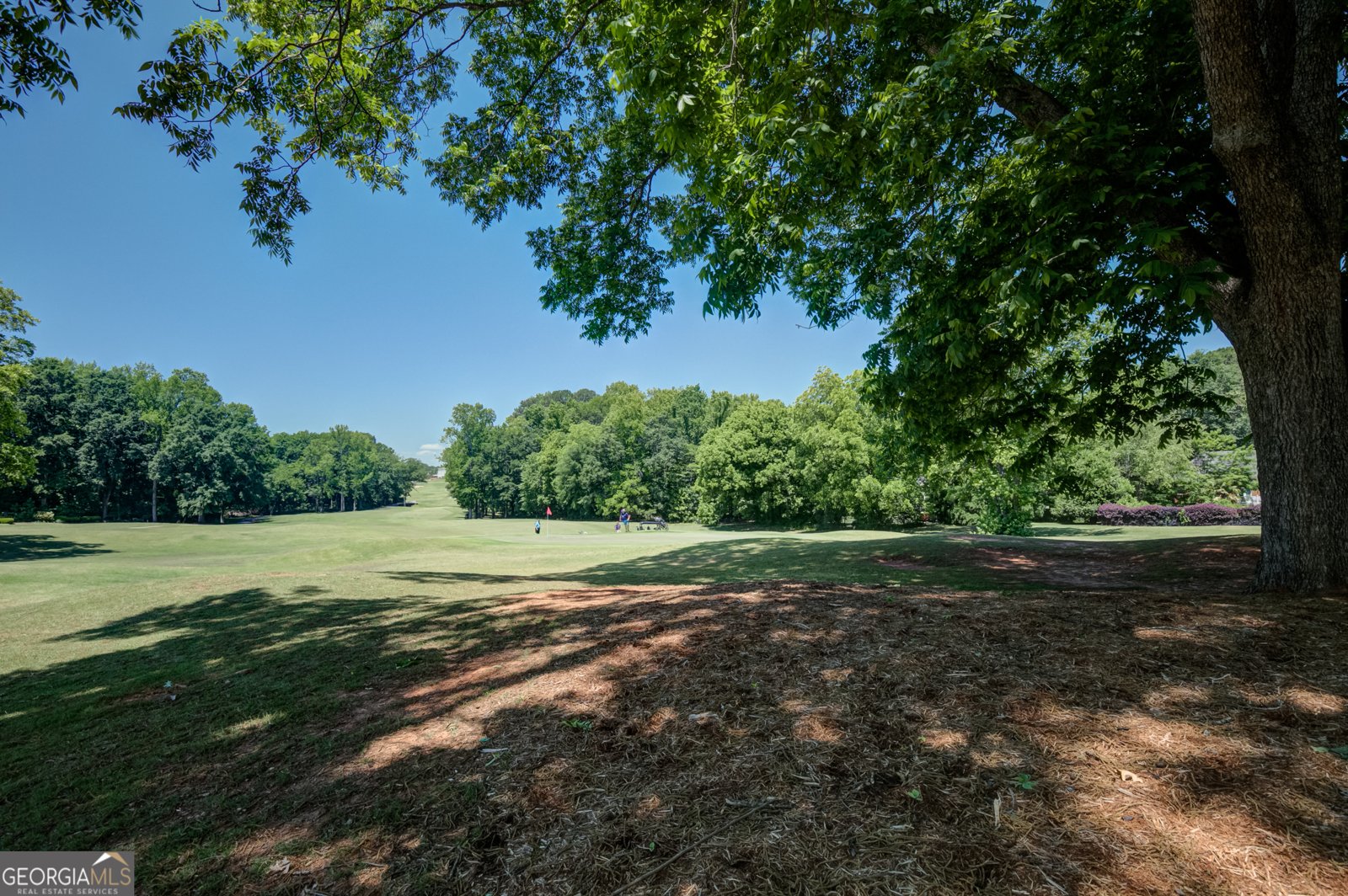 265 Broadmoor Drive Fayetteville - Photo 97