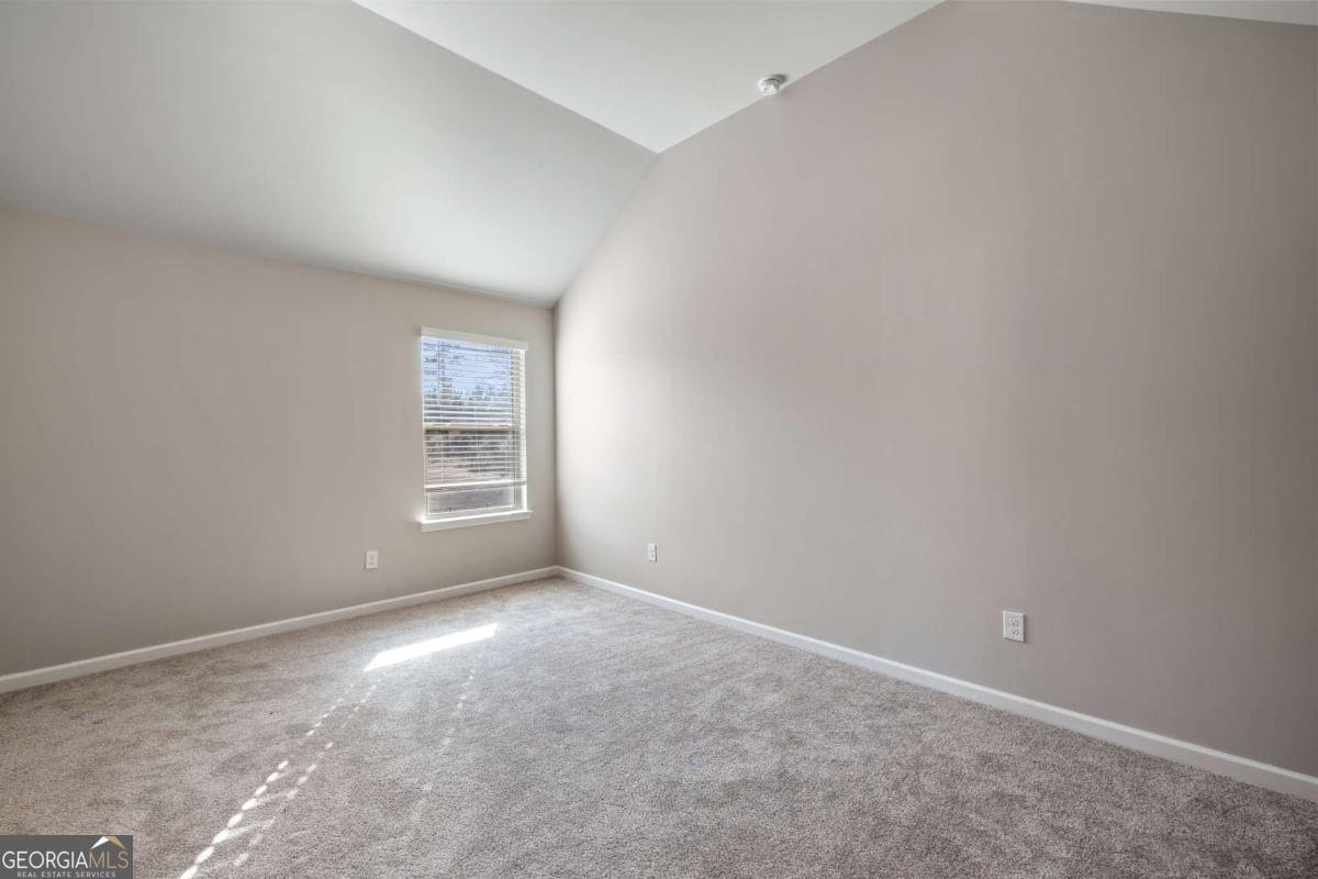 68 Shenandoah Drive Mcdonough - Photo 42