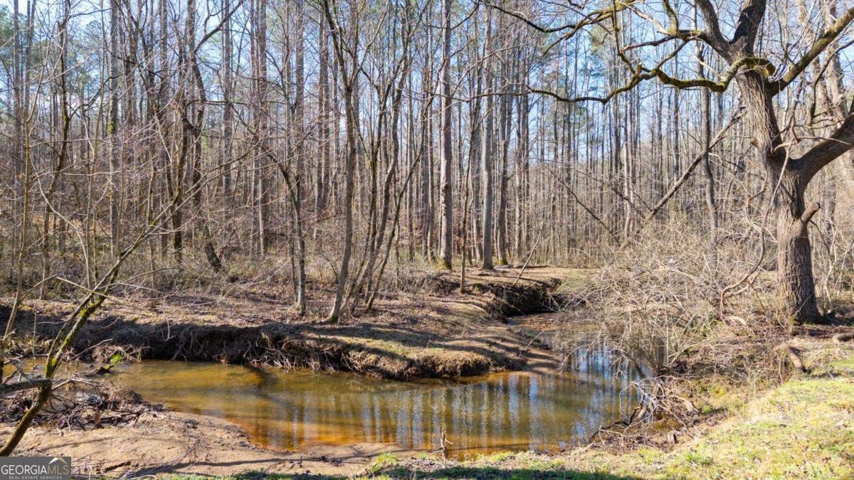 1783 Four Mile Church Road Ball Ground - Photo 10