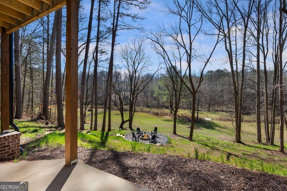 1783 Four Mile Church Road Ball Ground - Photo 57