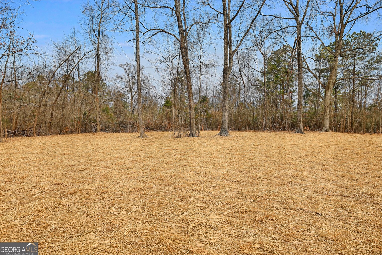 473 Hill Haven Road Greenville - Photo 31