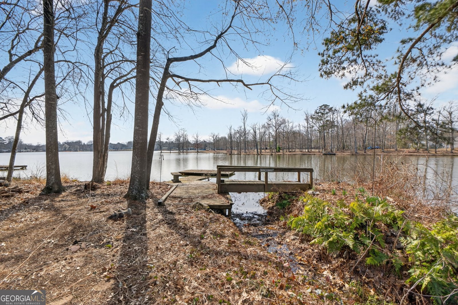 252 Lakeview Drive Locust Grove - Photo 9