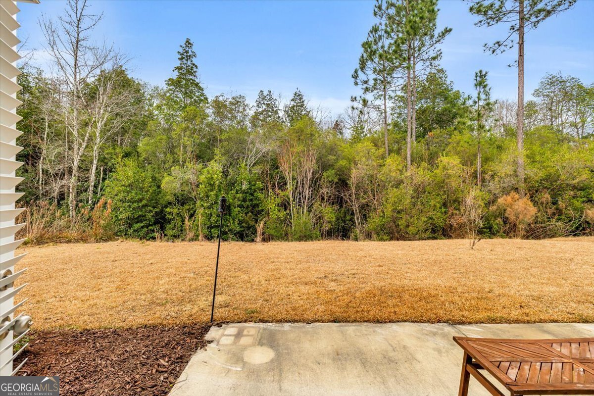 276 Brightleaf Circle Hinesville - Photo 40