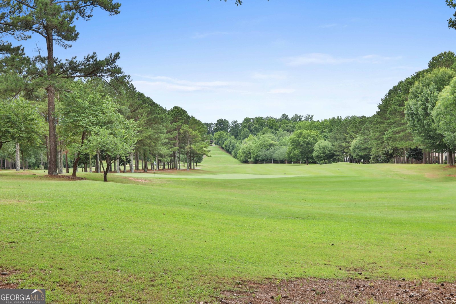 15 Mossy Rock Court Newnan - Photo 55