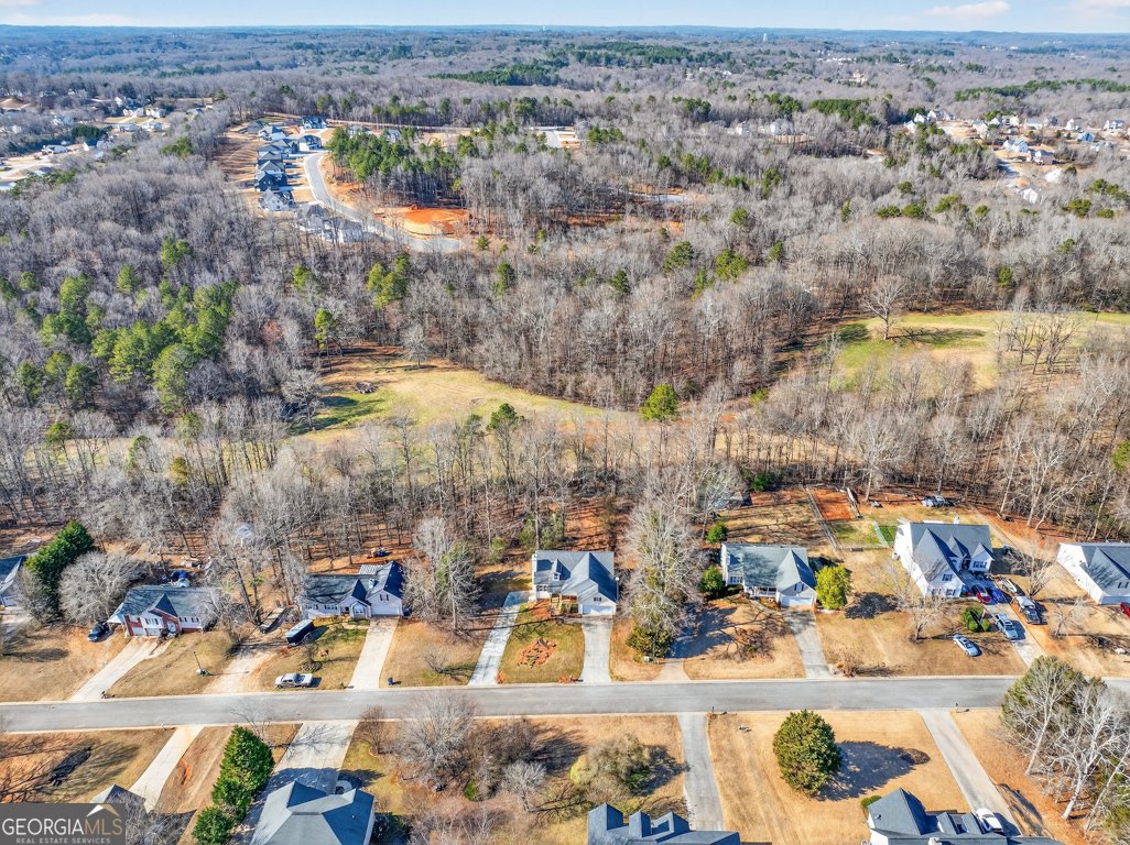 687 Ansley Court Winder - Photo 50