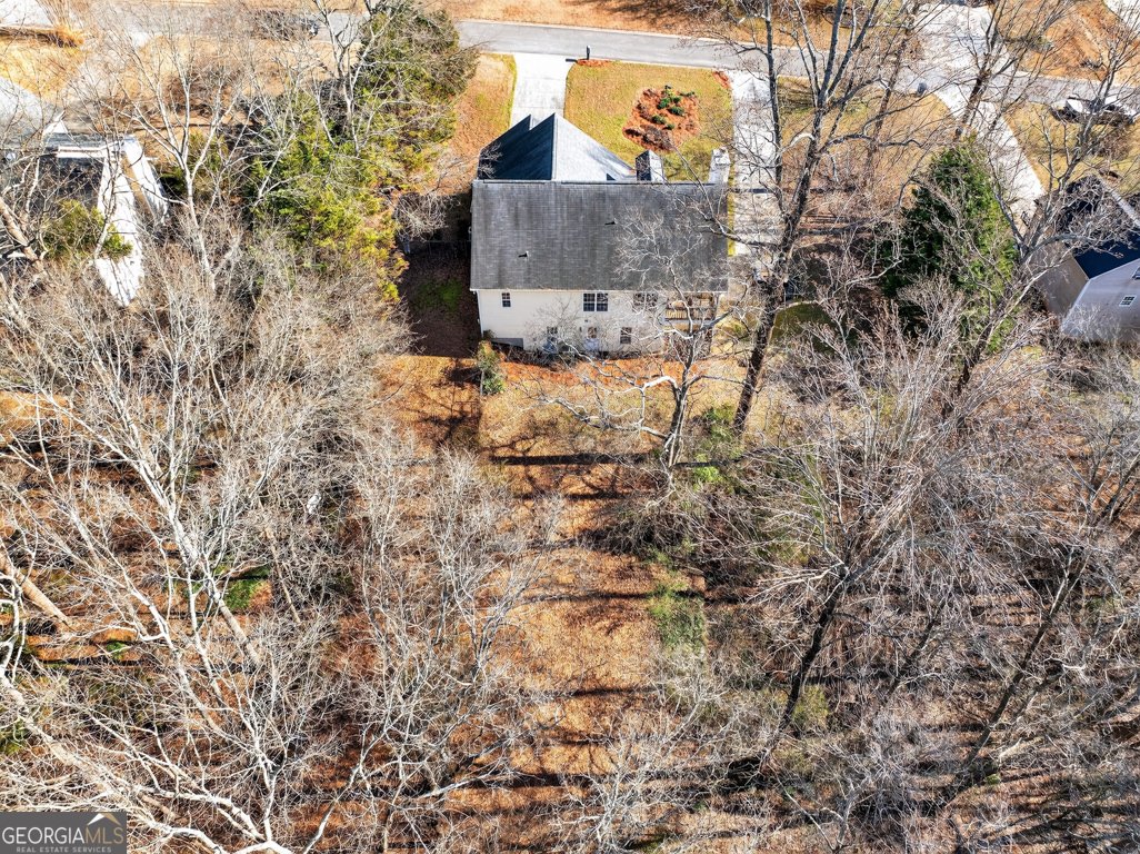 687 Ansley Court Winder - Photo 53