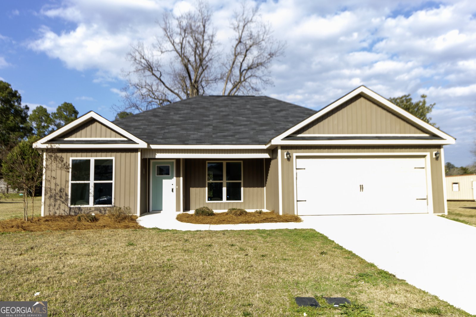 15 Cole Drive Hawkinsville - Photo 1